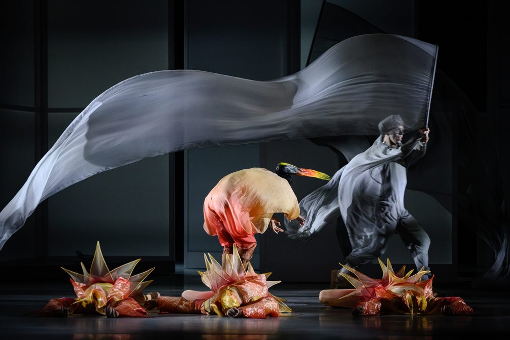  Les Ballets de Monte-Carlo,  L’Enfant et les Sortilèges   © Alice Blangero 