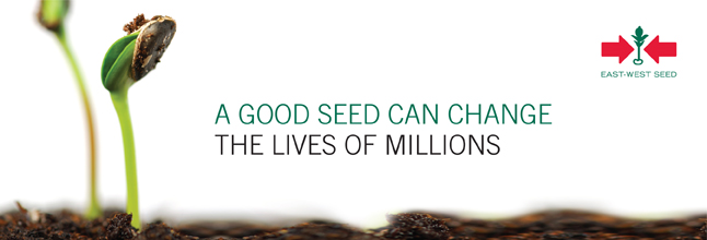 East West Seeds