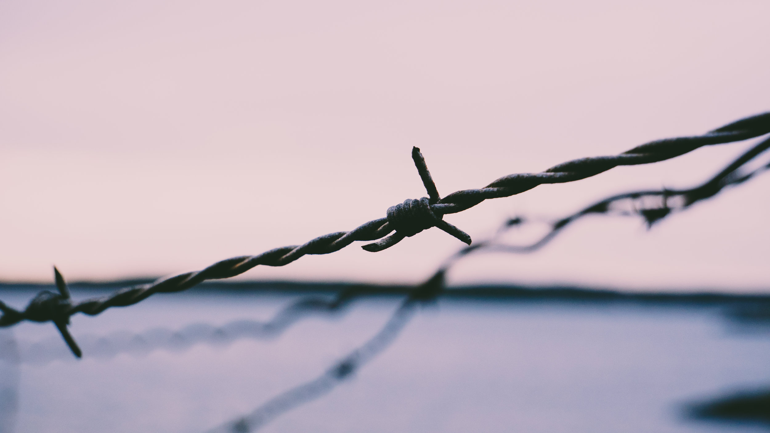 barbed wire.jpeg