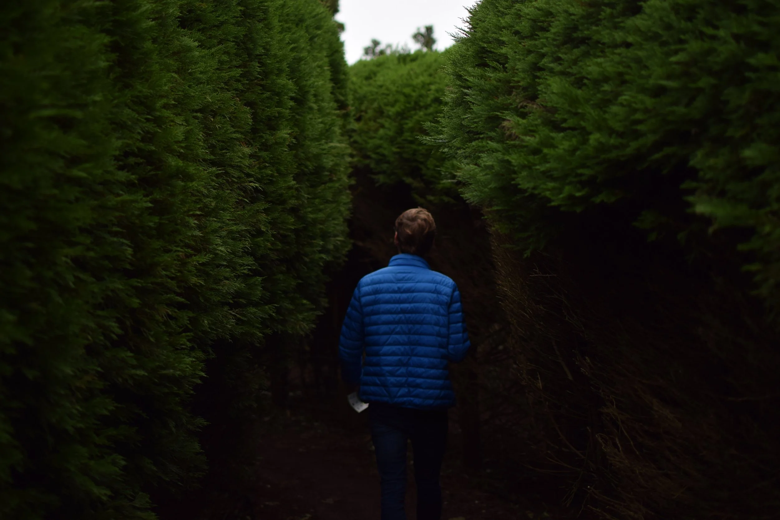 Personal Mastery & Mental Models