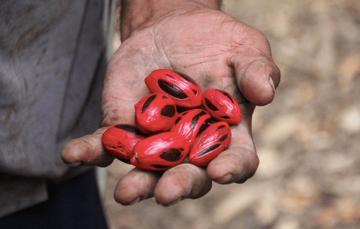 Lessons From The Field - Cash Crops