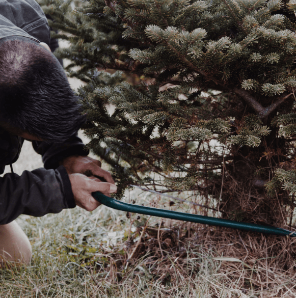 Chopping Down A Tree.png