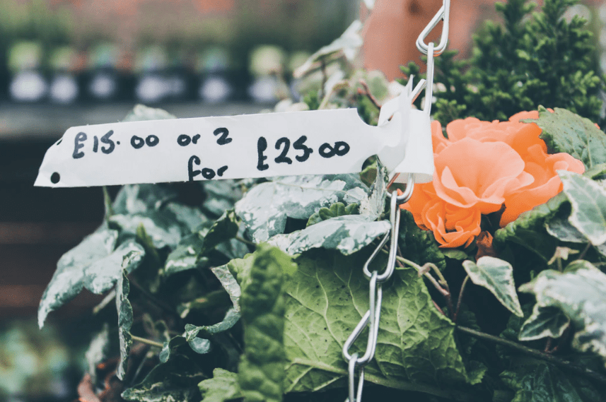 Pricing Strategies.png