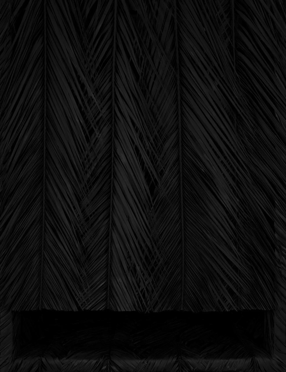 Black Palms, 2012 Box number two 120 X 160 cm Palm branches, matte black spray paint Palm fronds painted on a composter with matte black paint are assembled to form a box - identical to Black Box number one Premium fine art on dibond. Edition of 5 copies 
