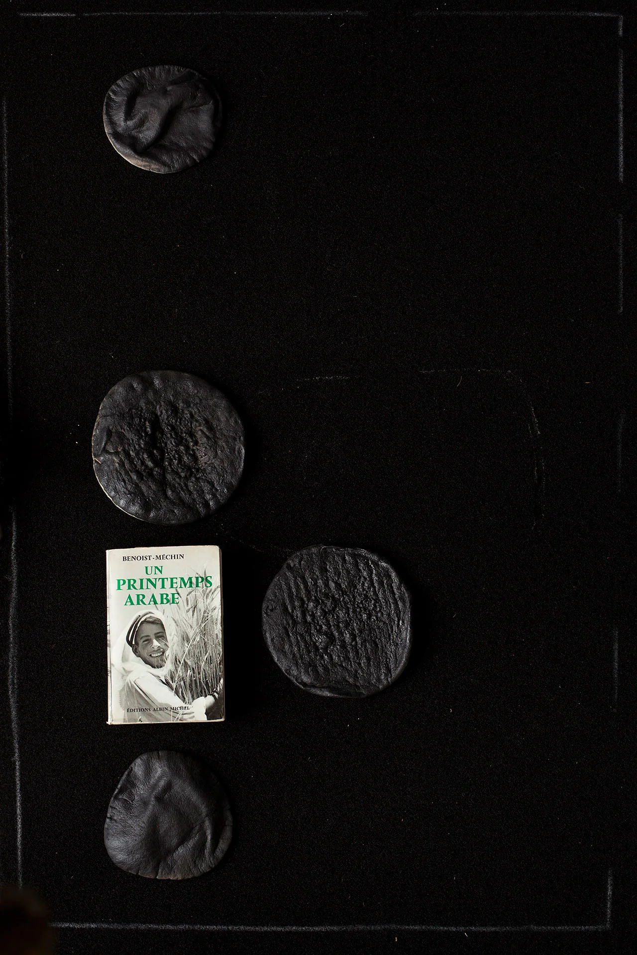 Picture. 04 4 pittas and the book 'An Arab Spring' Impression jet d'encre sur Harman - Coton, 48 x 32.9 cm