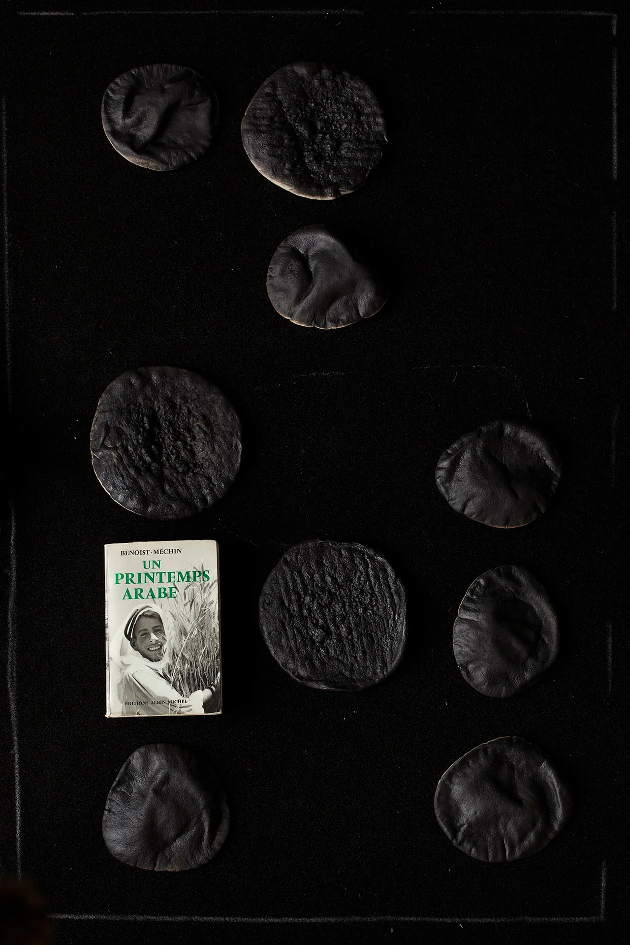 Picture. 07 9 pittas and the book 'An Arab Spring' Impression jet d'encre sur Harman - Coton, 48 x 32.9 cm