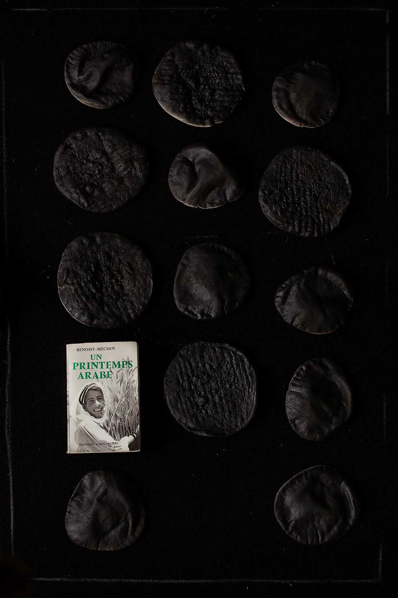 Picture. 09 13 pittas and the book 'An Arab Spring' Impression jet d'encre sur Harman - Coton, 48 x 32.9 cm