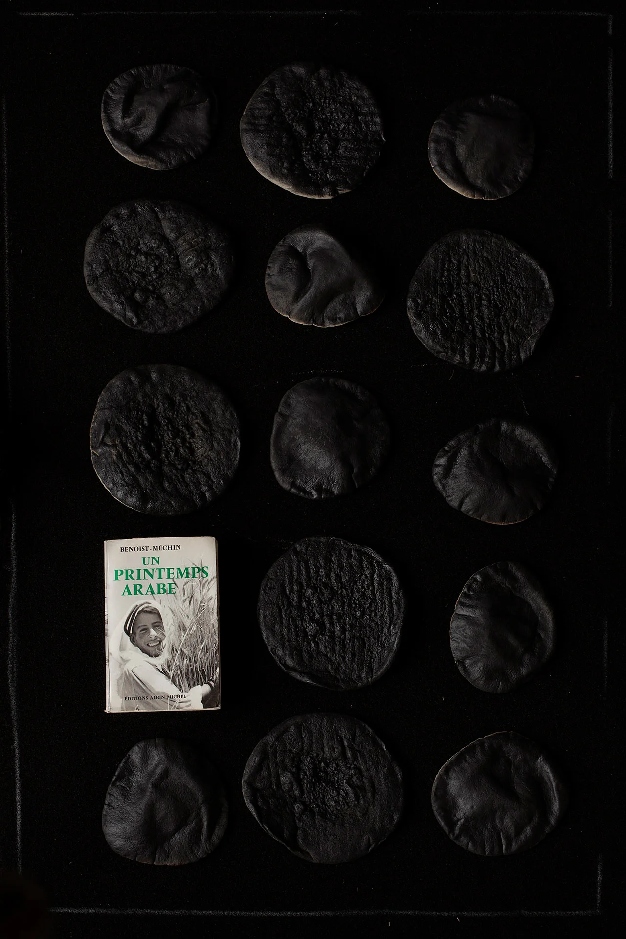 Picture. 10 14 pittas and the book 'An Arab Spring' Impression jet d'encre sur Harman - Coton, 48 x 32,9 cm