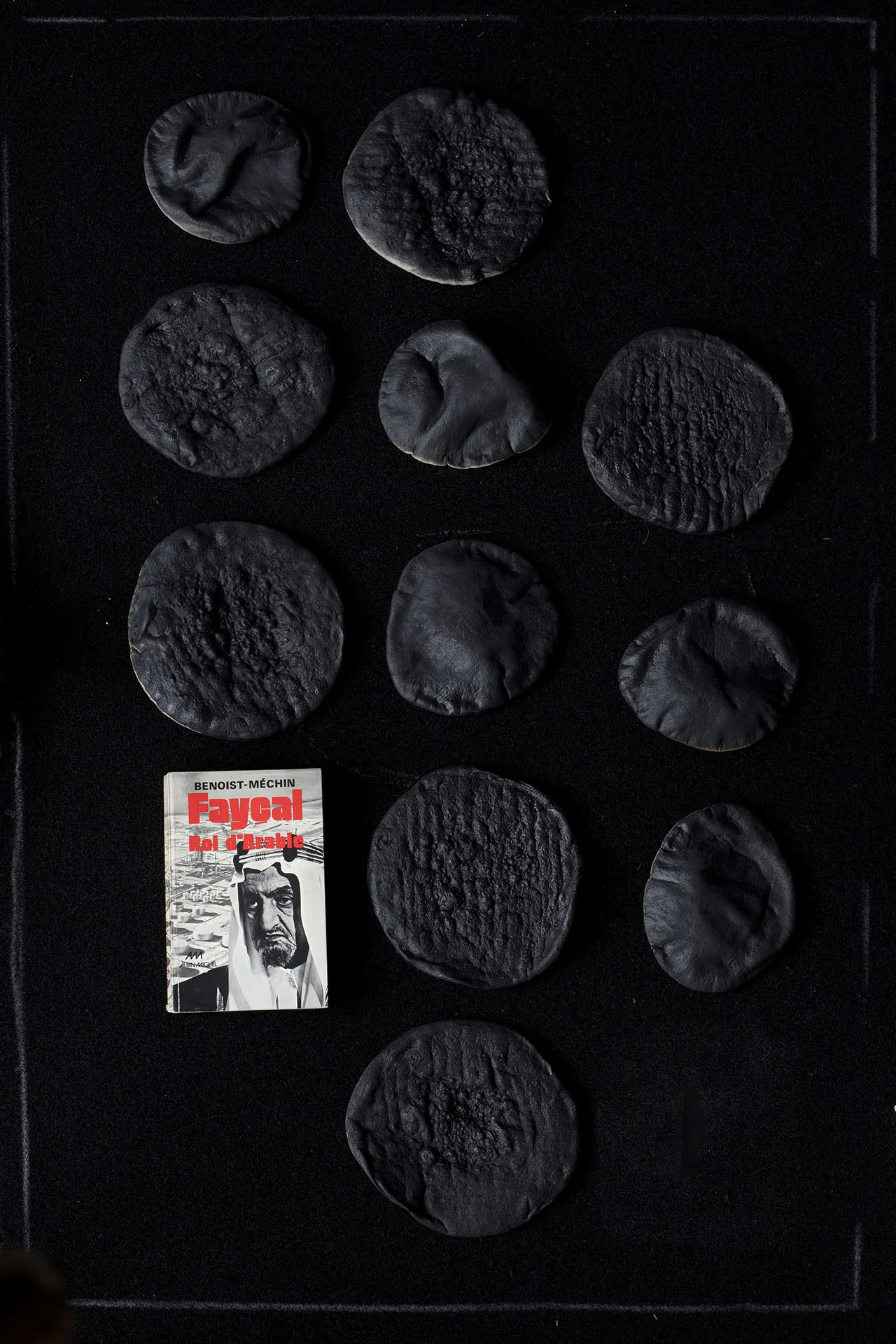 Picture. 07: The book 'Faisal Bin Abdulaziz Alrahman King of Saudi Arabia', and 11 pittas with their black sides facing upward Impression jet d'encre sur Harman - Coton, 48 x 32,9 cm
