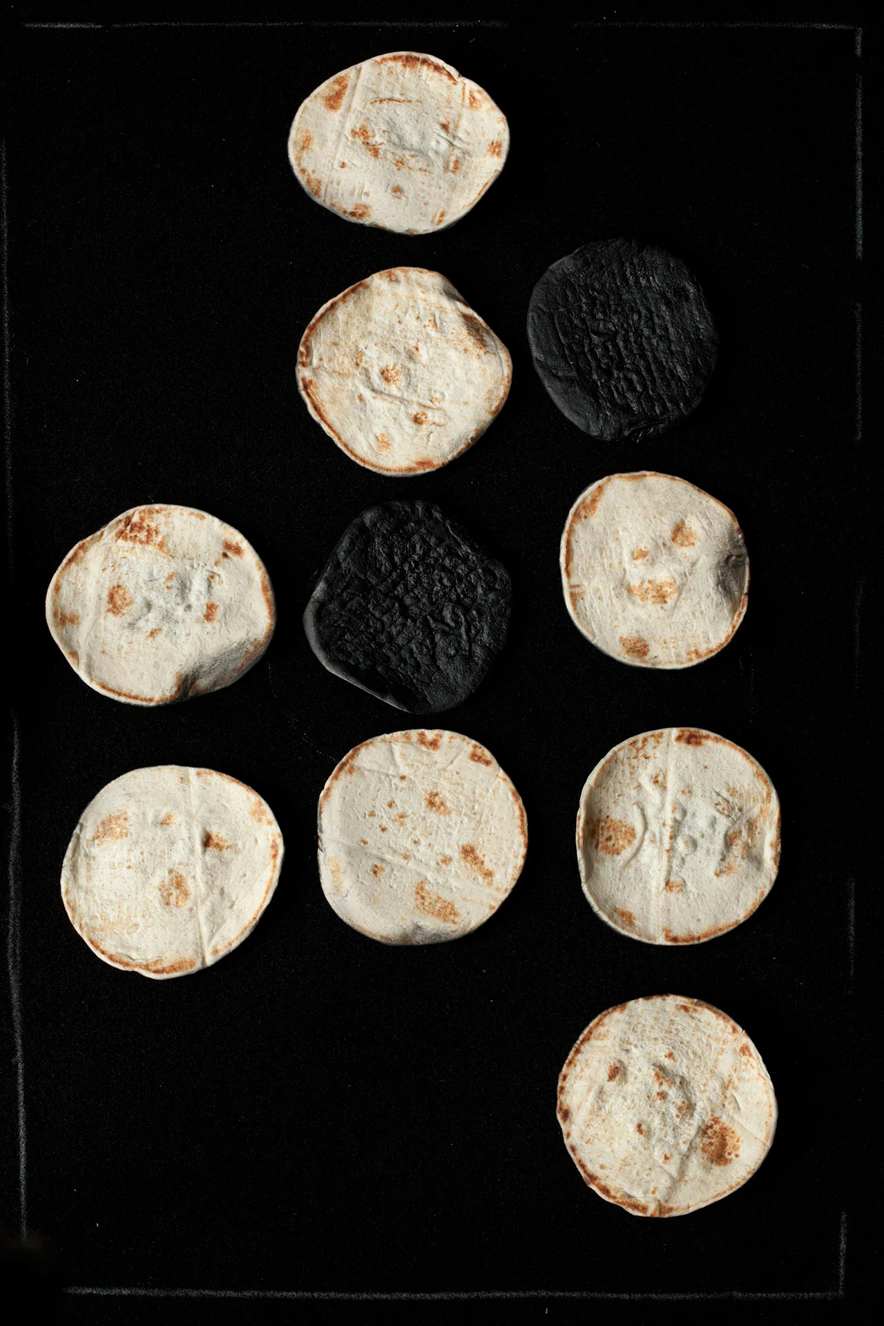 Picture. 10: 8 pittas with their natural sides facing upward, compared with 2 pittas with their black sides facing upward Impression jet d'encre sur Harman - Coton, 48 x 32,9 cm