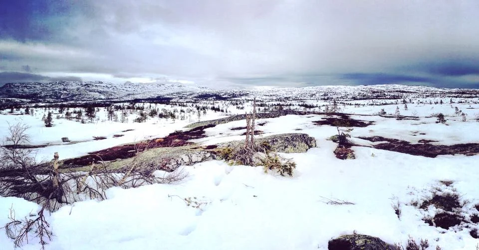 The Language of Snow