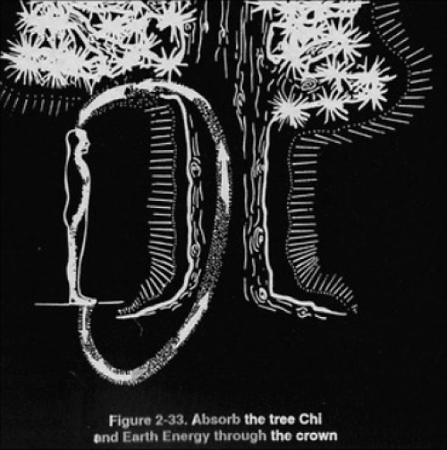 Communicating Energetically with Trees