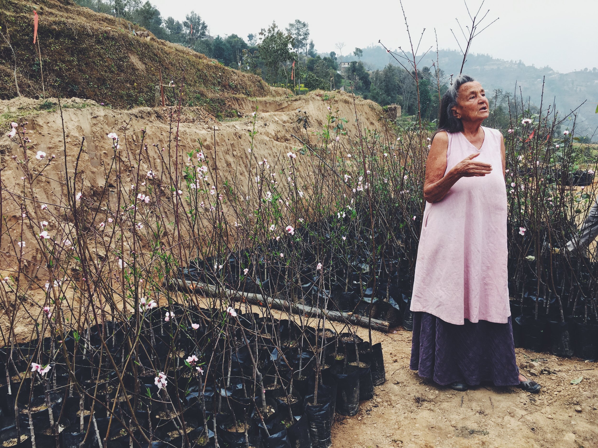 Biointensive Organic Farming in Patalekhet Village