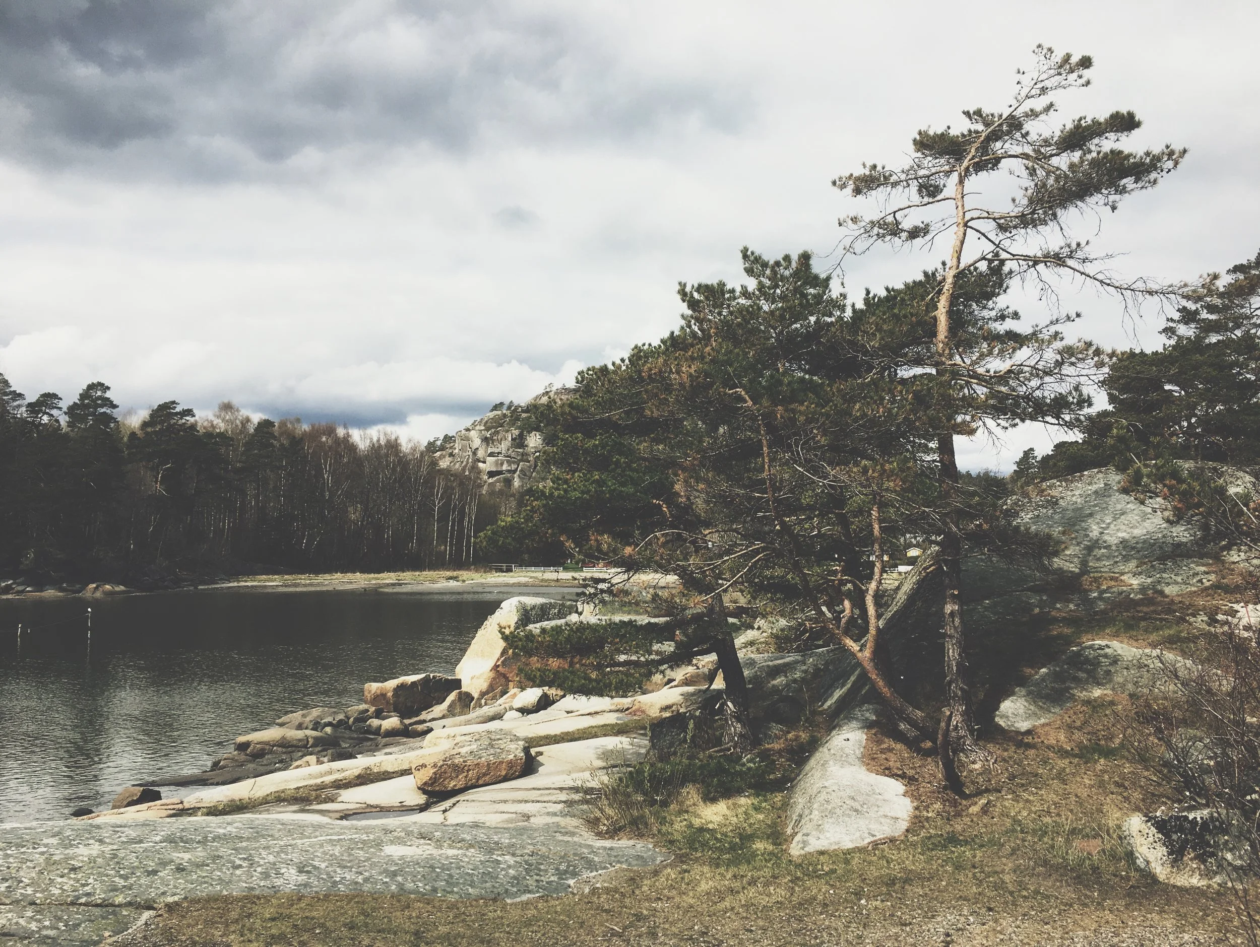 Bioregionalism + Love = Eco-Logical Progress 