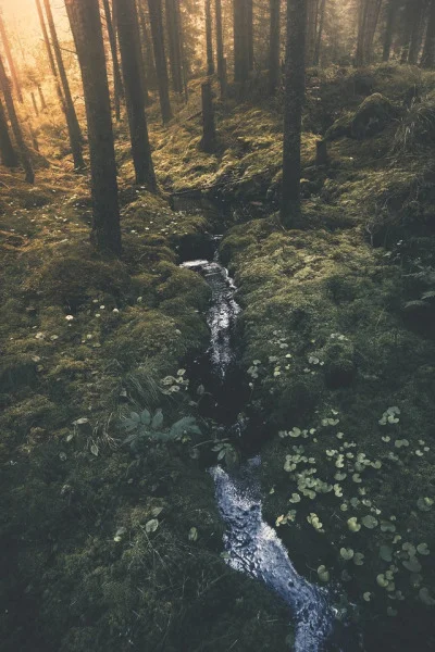 A Church of Love - The Cathar Prophecy of 1244 CE