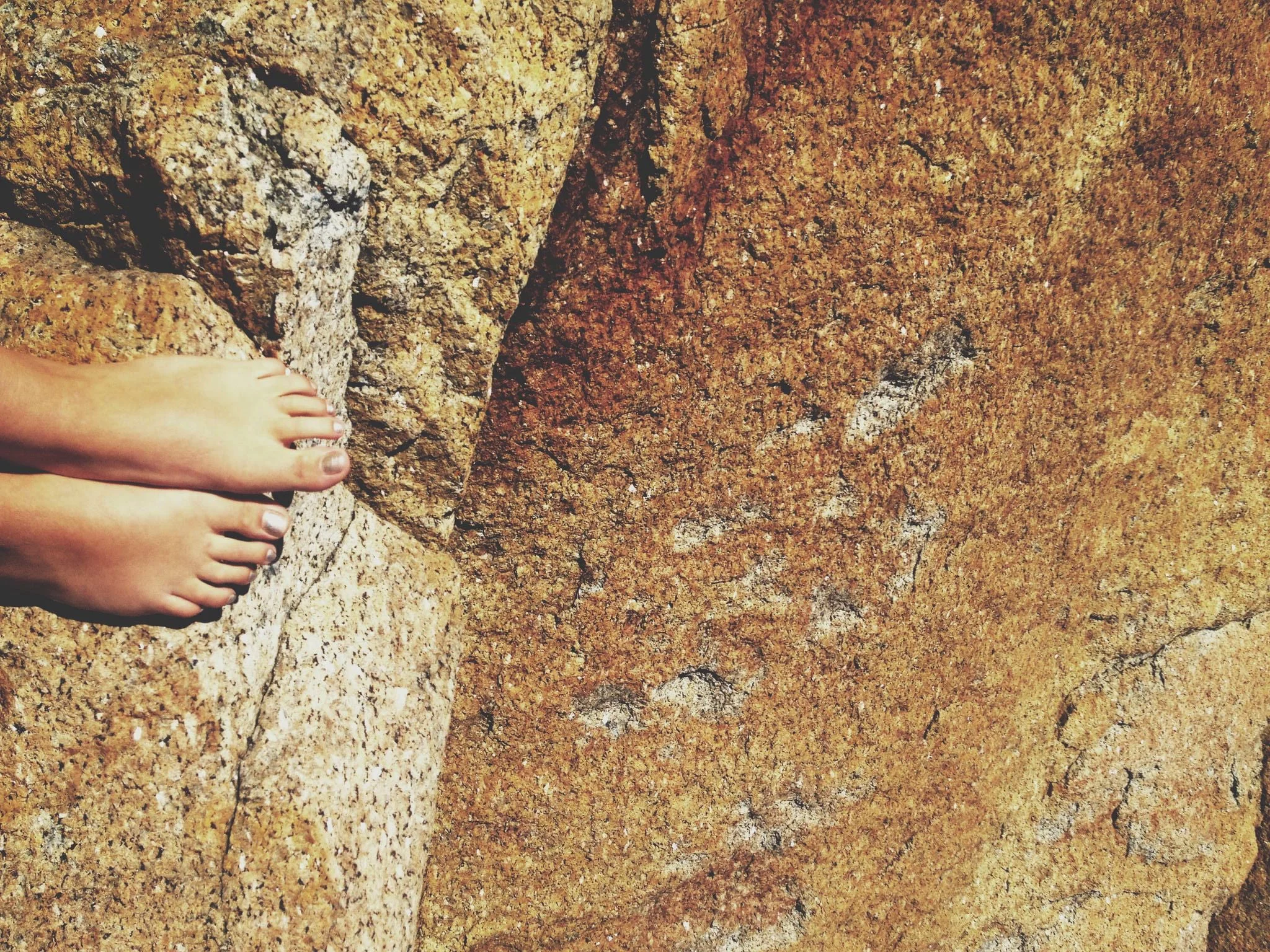 Nordic Ayurveda  — Nurturing Our Modern Bio-Rhythm