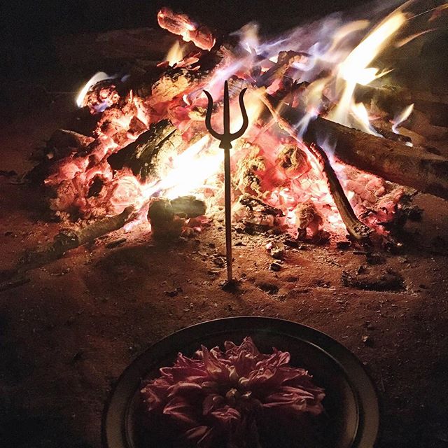 Rituals of fire.. Rainbow amethyst flames.. The presence of Shiva.. Yemanj&aacute;.. Late night under rainforest canopies, life revolves around the central fire.. The wind carries messages, we listen deeply.. 🍃#yoga #rainforest #deepecology #union #