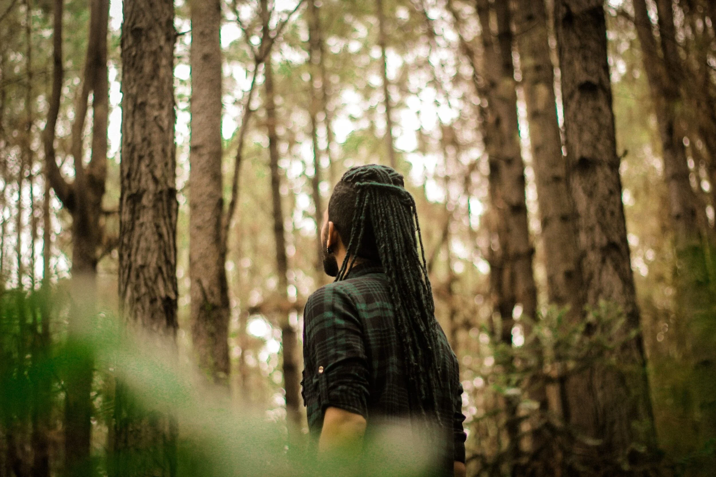 Forest Bathing: The healing power of nature therapy