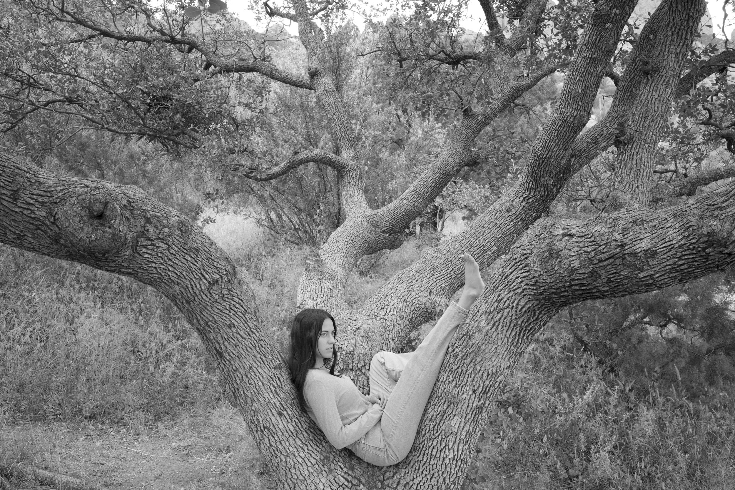 Andrea sitting in tree in New Mexico for Everlane.jpg