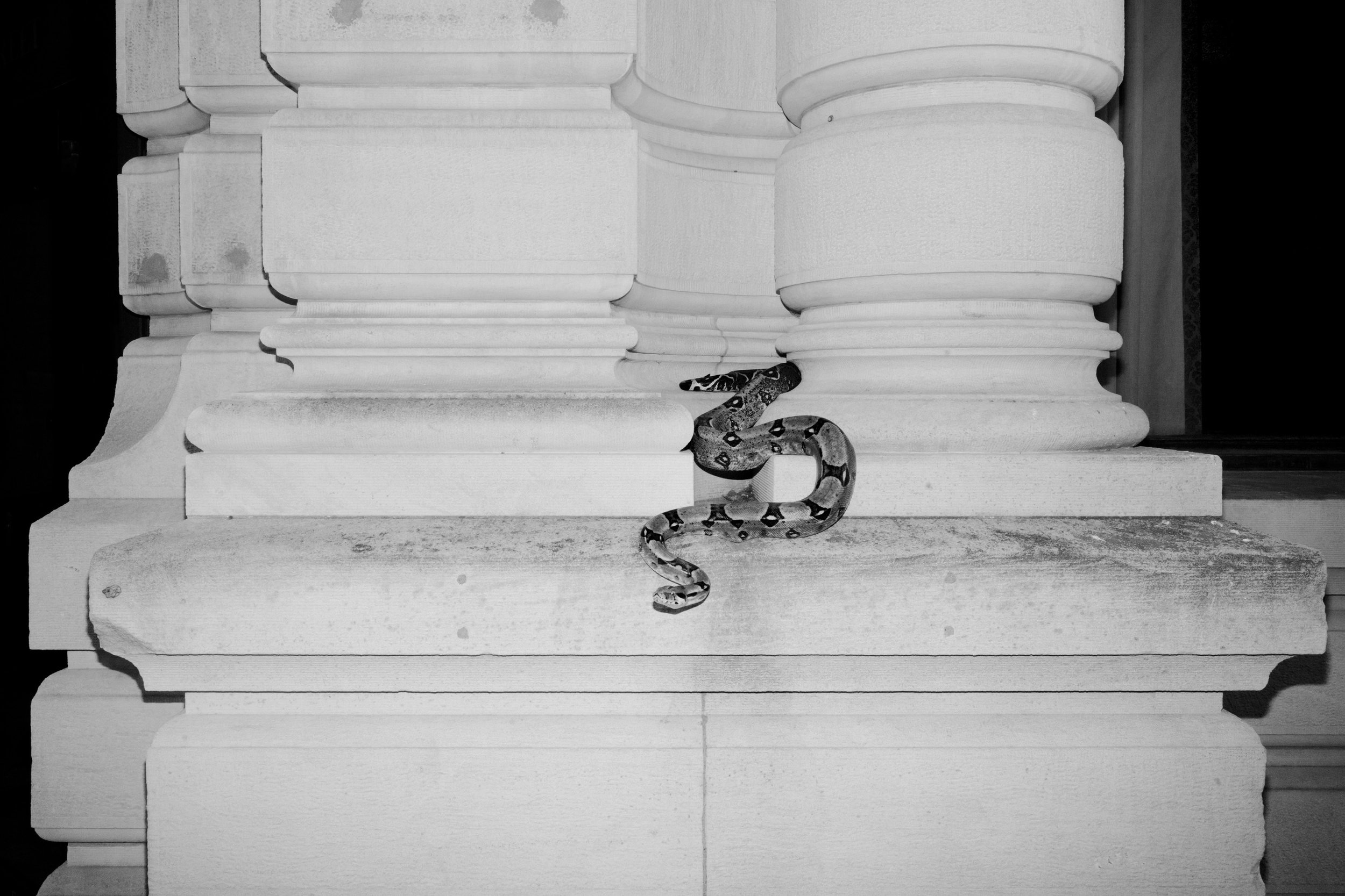 Snake and Column 2.jpg