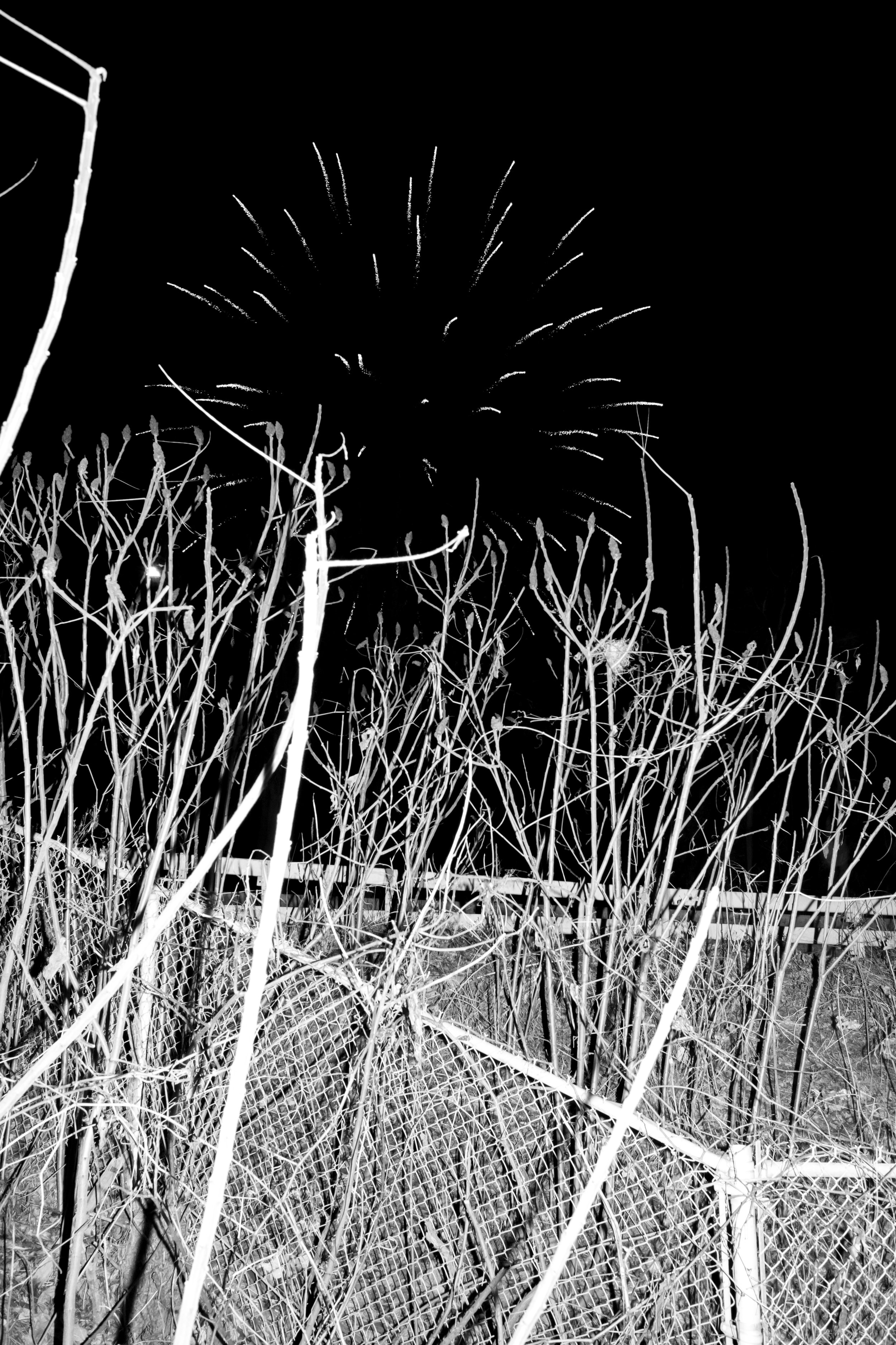 Fireworks Christmas Parade Poughkeepsie 2021.jpg