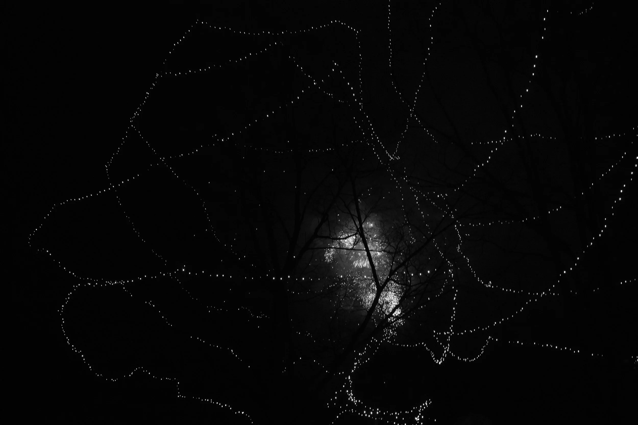 L1002791.jpg