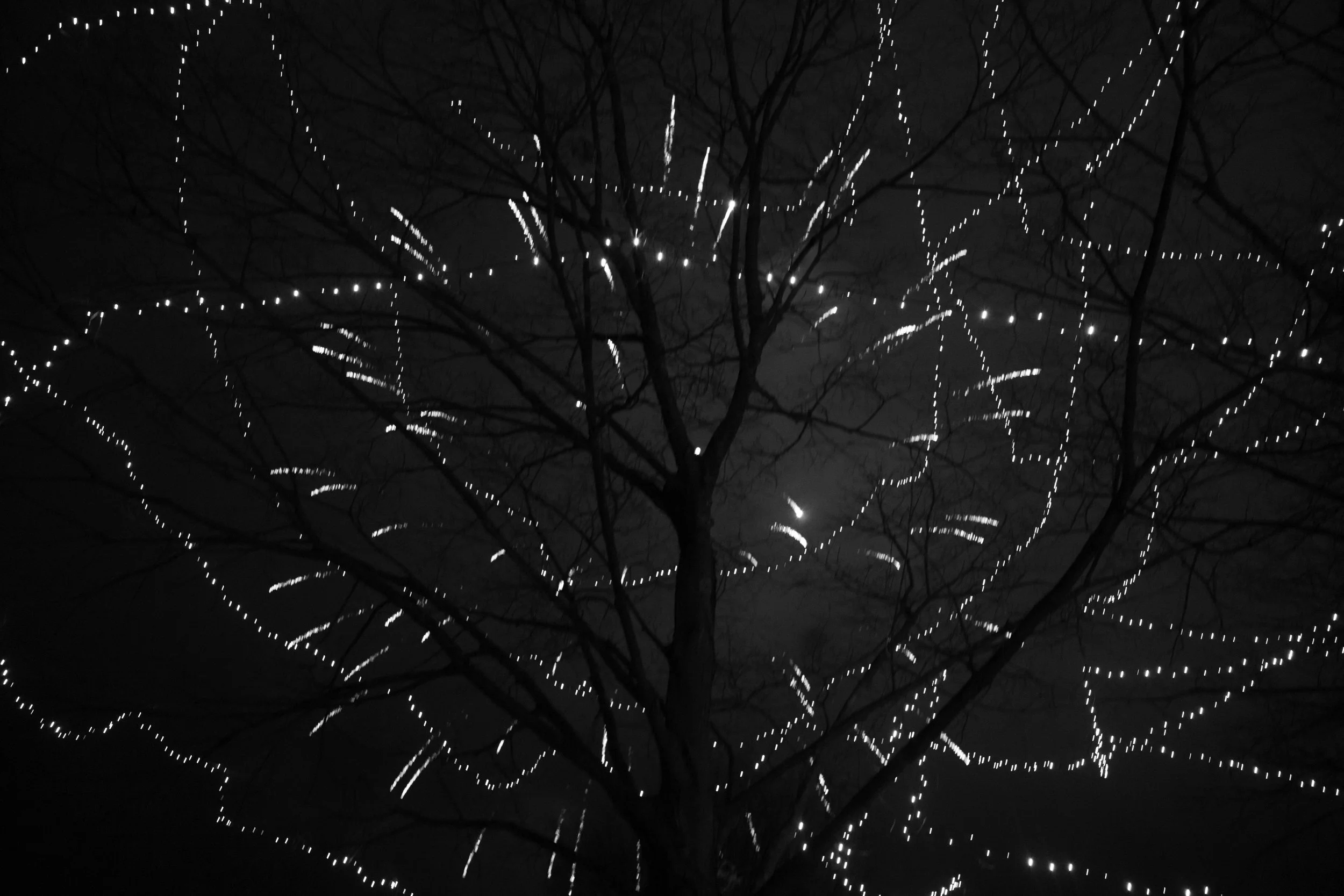L1002772.jpg