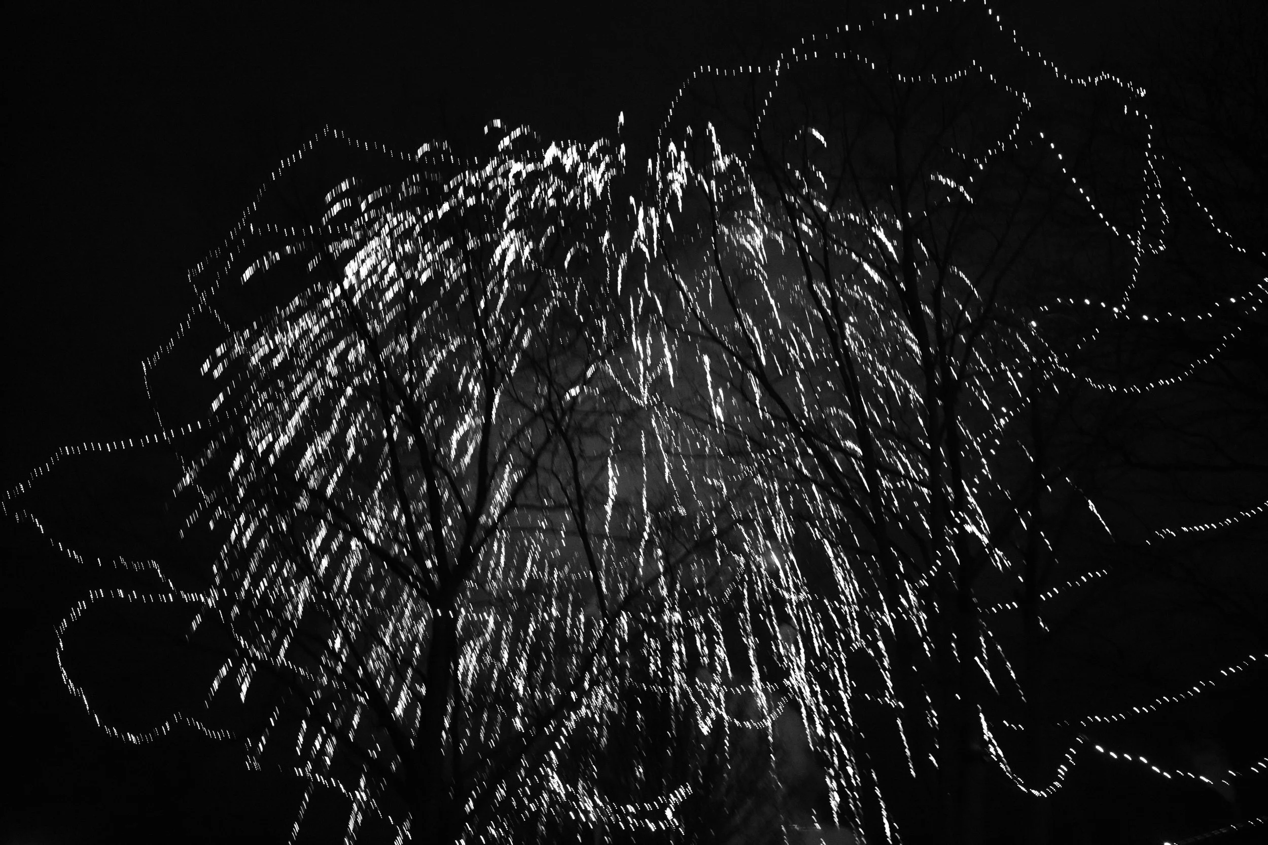 L1002809.jpg
