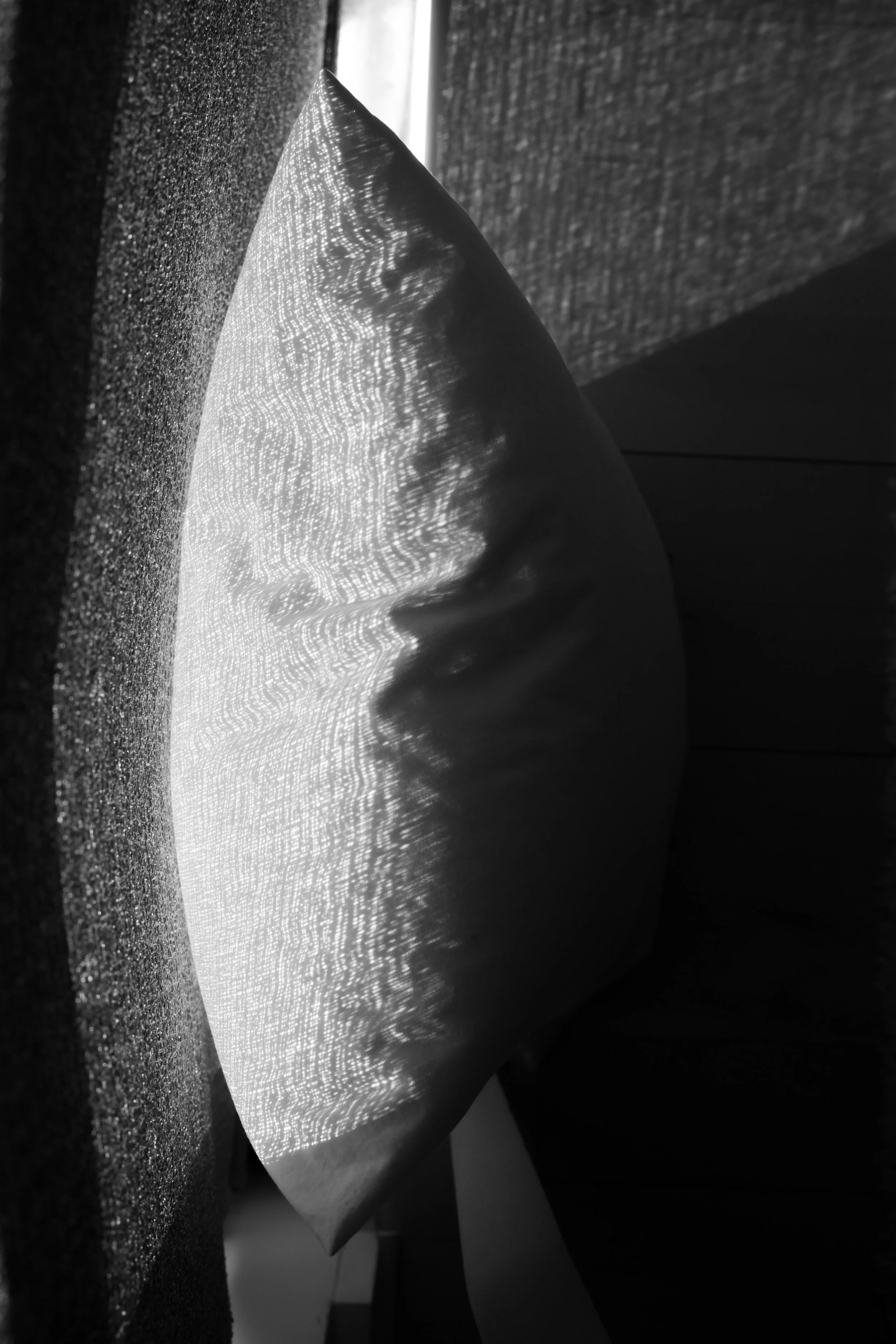 L1003286.jpg