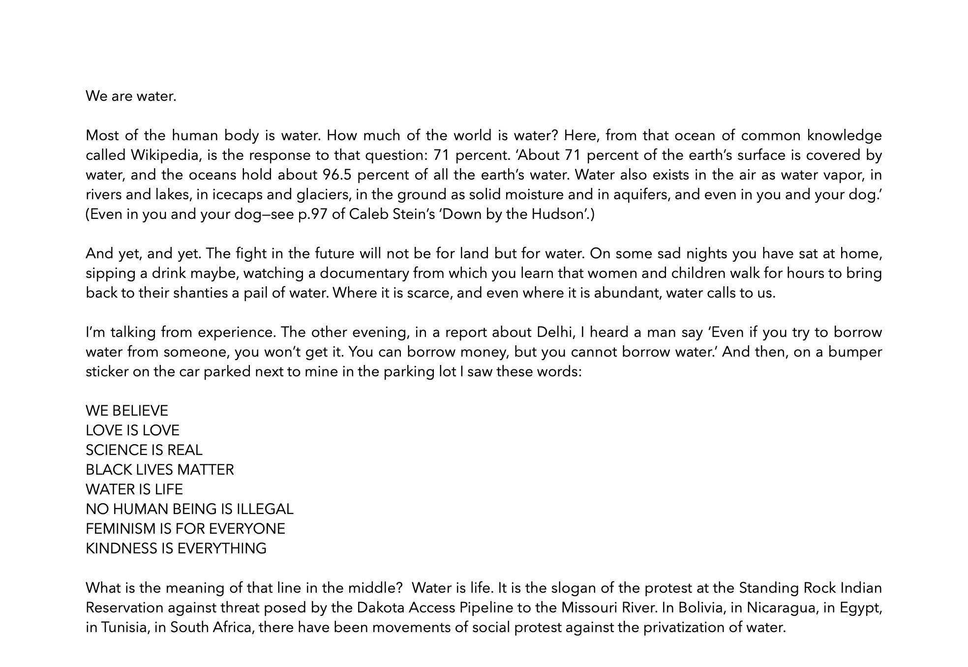 Amitava Kumar on Down by the Hudson 1 of 2.png