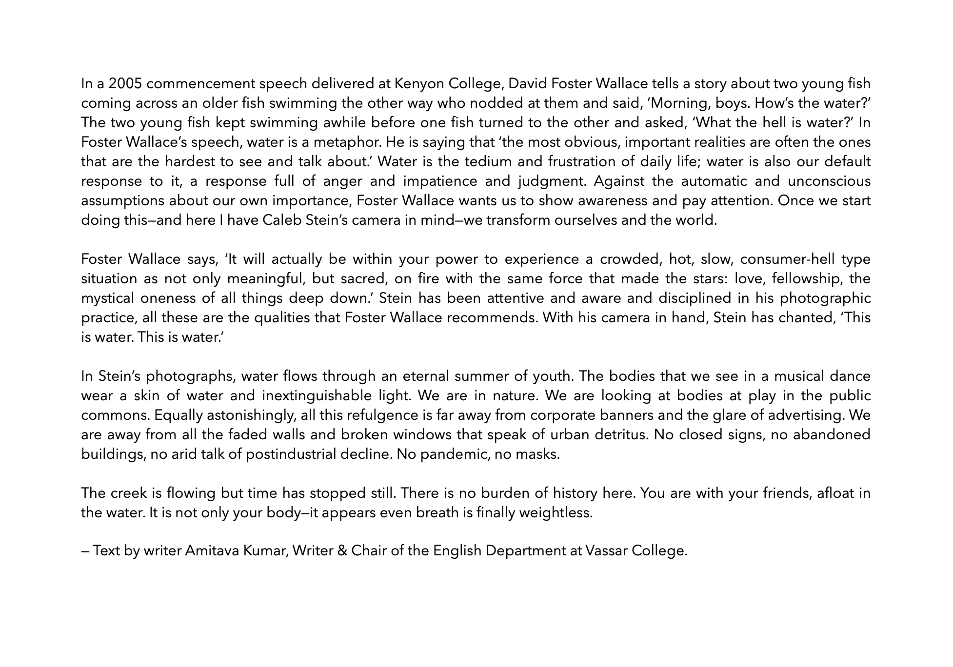 Amitava Kumar on Down by the Hudson 2 of 2.png