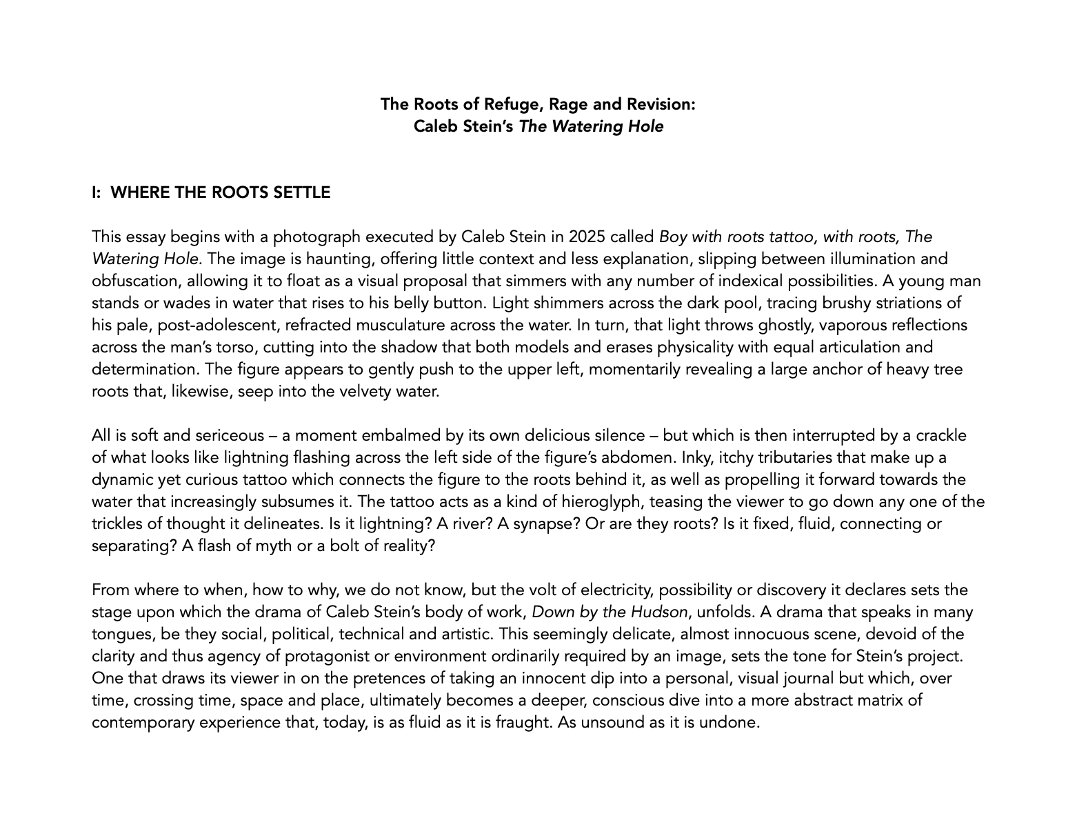 Matt Carey-Williams on Down by the Hudson 1 of 8.png