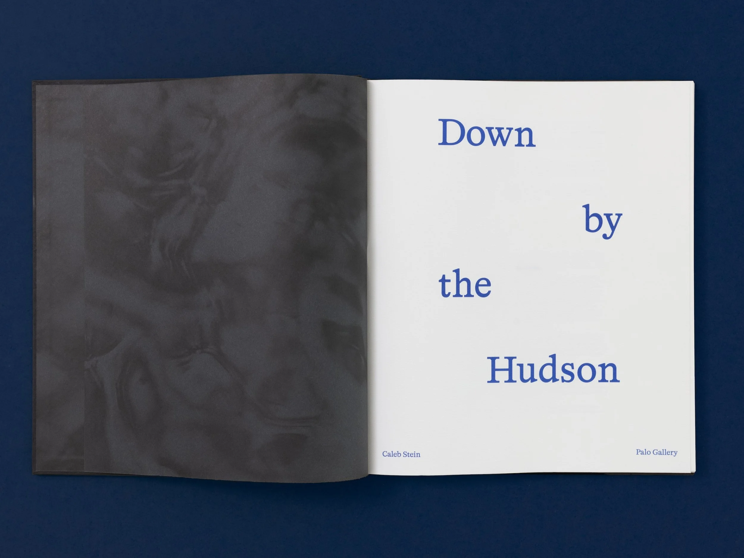 Caleb Stein Down by the Hudson Palo Gallery Press 2026_2.jpg