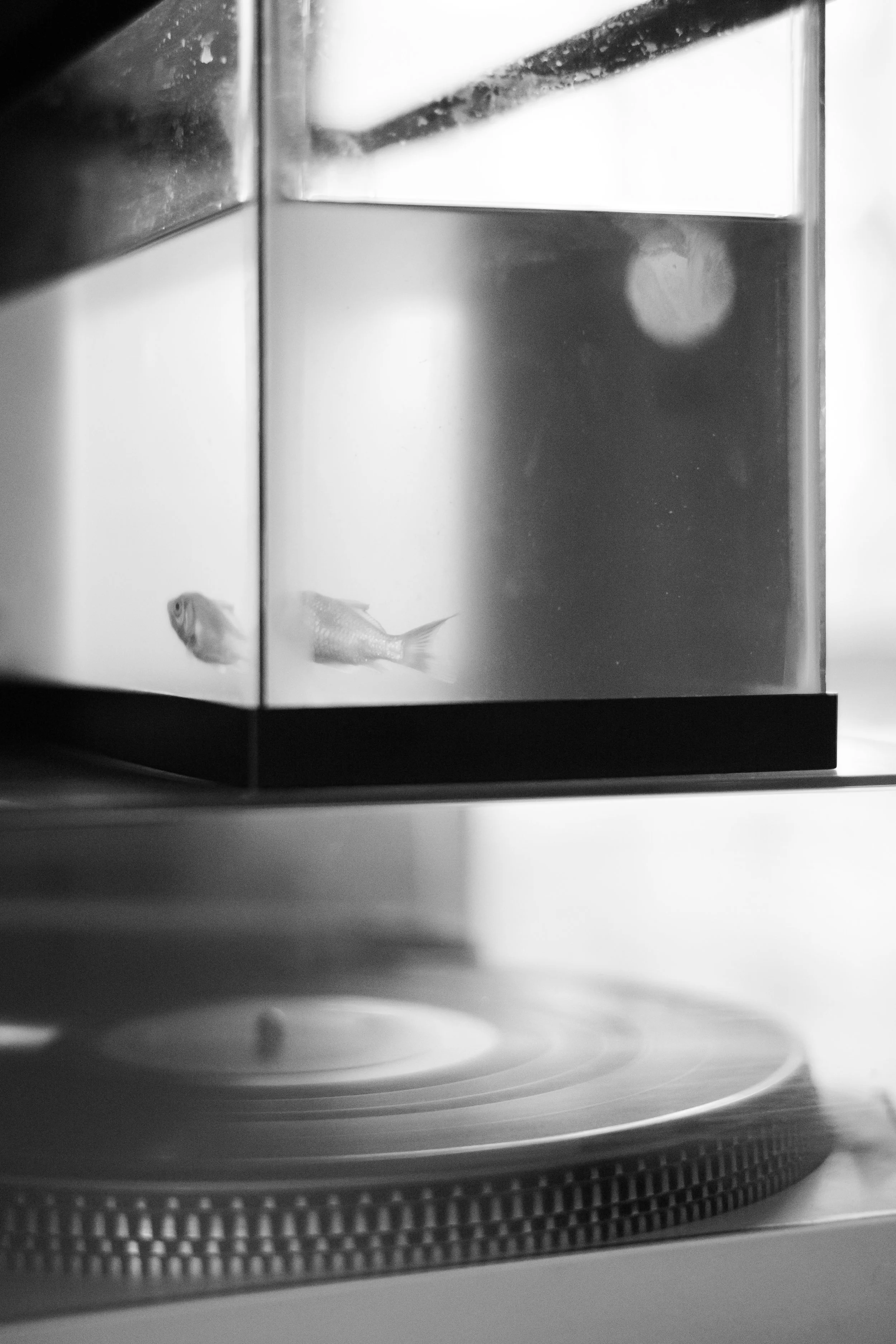 L1003422.jpg