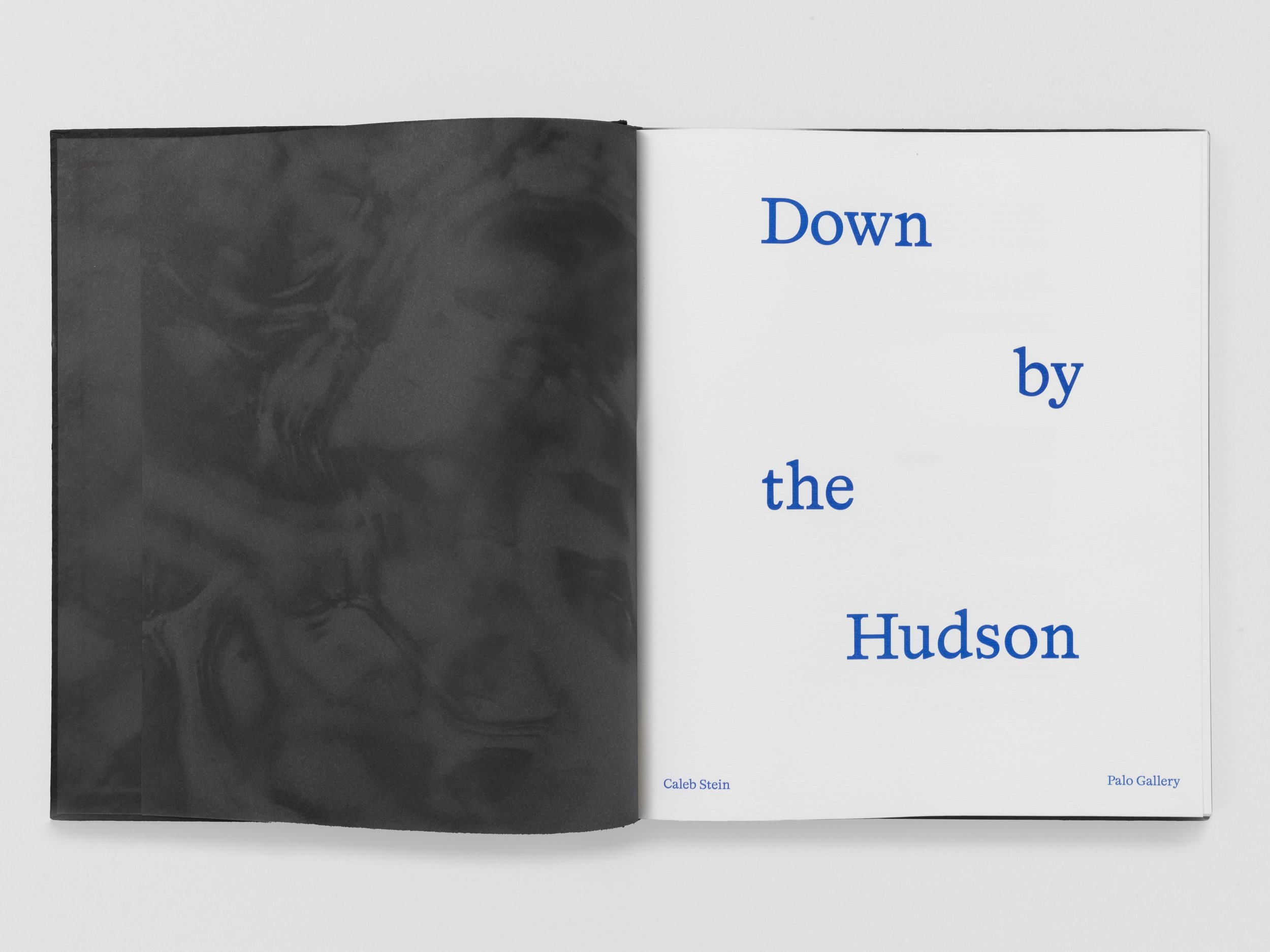Caleb Stein Down by the Hudson Palo Gallery Press 2026_clean background 9.jpg