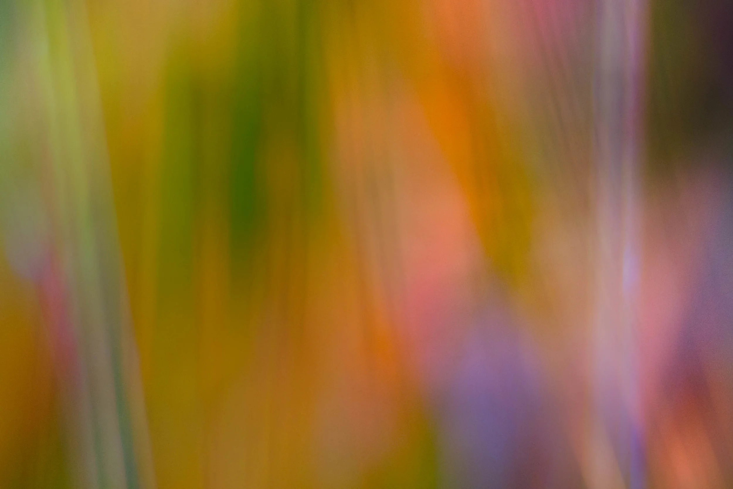 _DSF1121-Edit.jpg