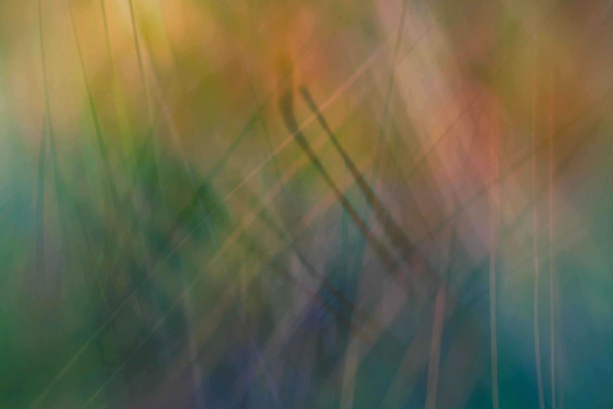 _DSF9667-Edit_1-Edit-1.jpg