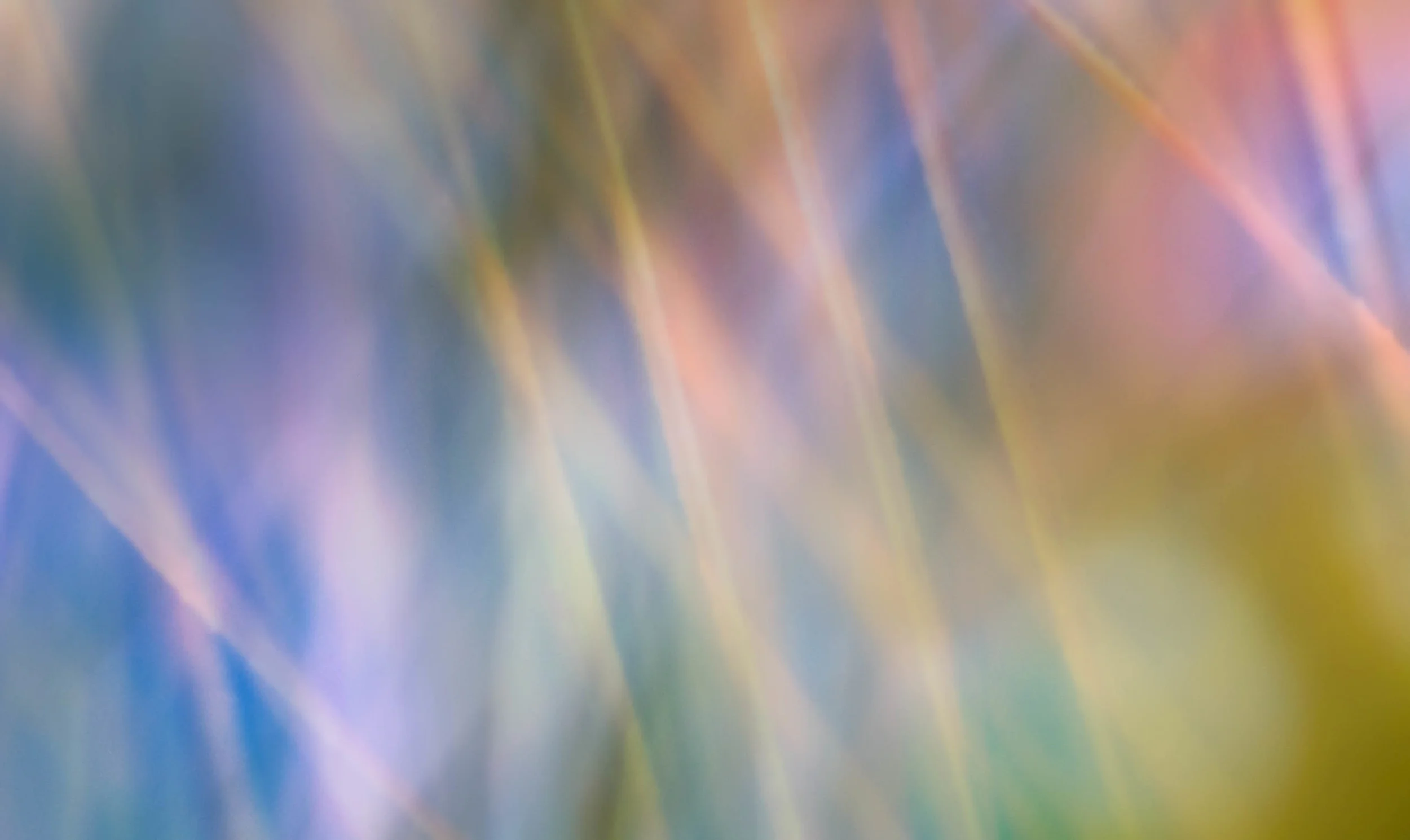 X-T1_00576_20150829-Edit-2.jpg