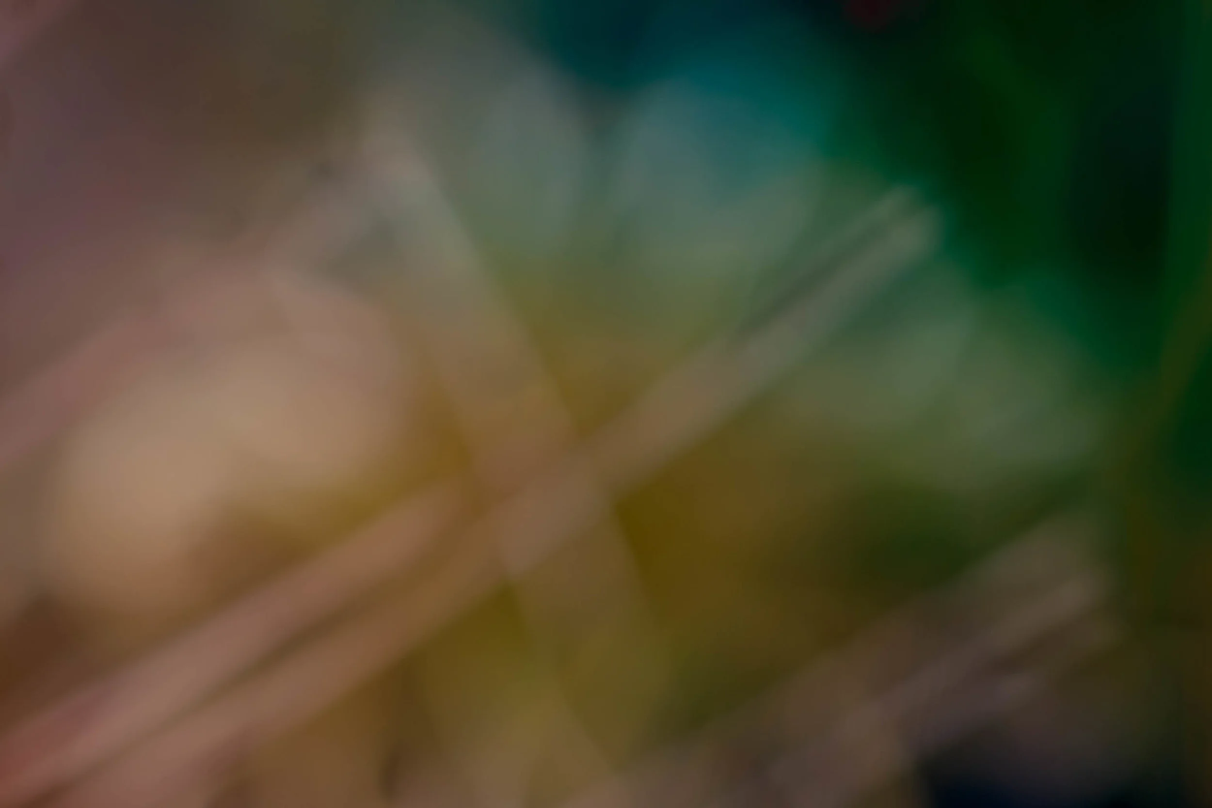 X-T1_00876_20151004-Edit.jpg