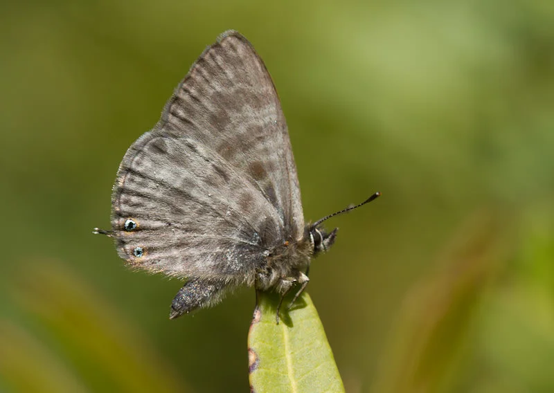 na-0014.jpg