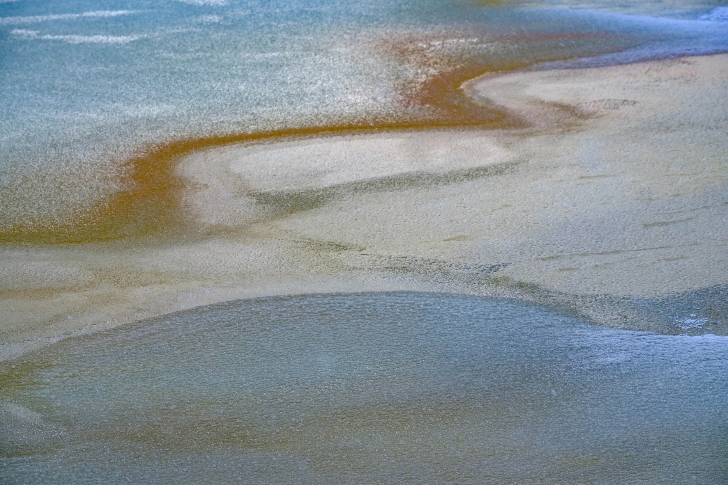 _DSF8734.jpg