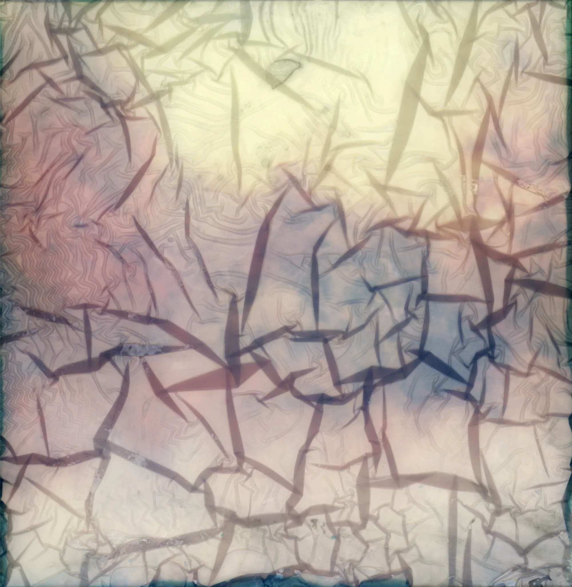 Waterlogged-2.jpg