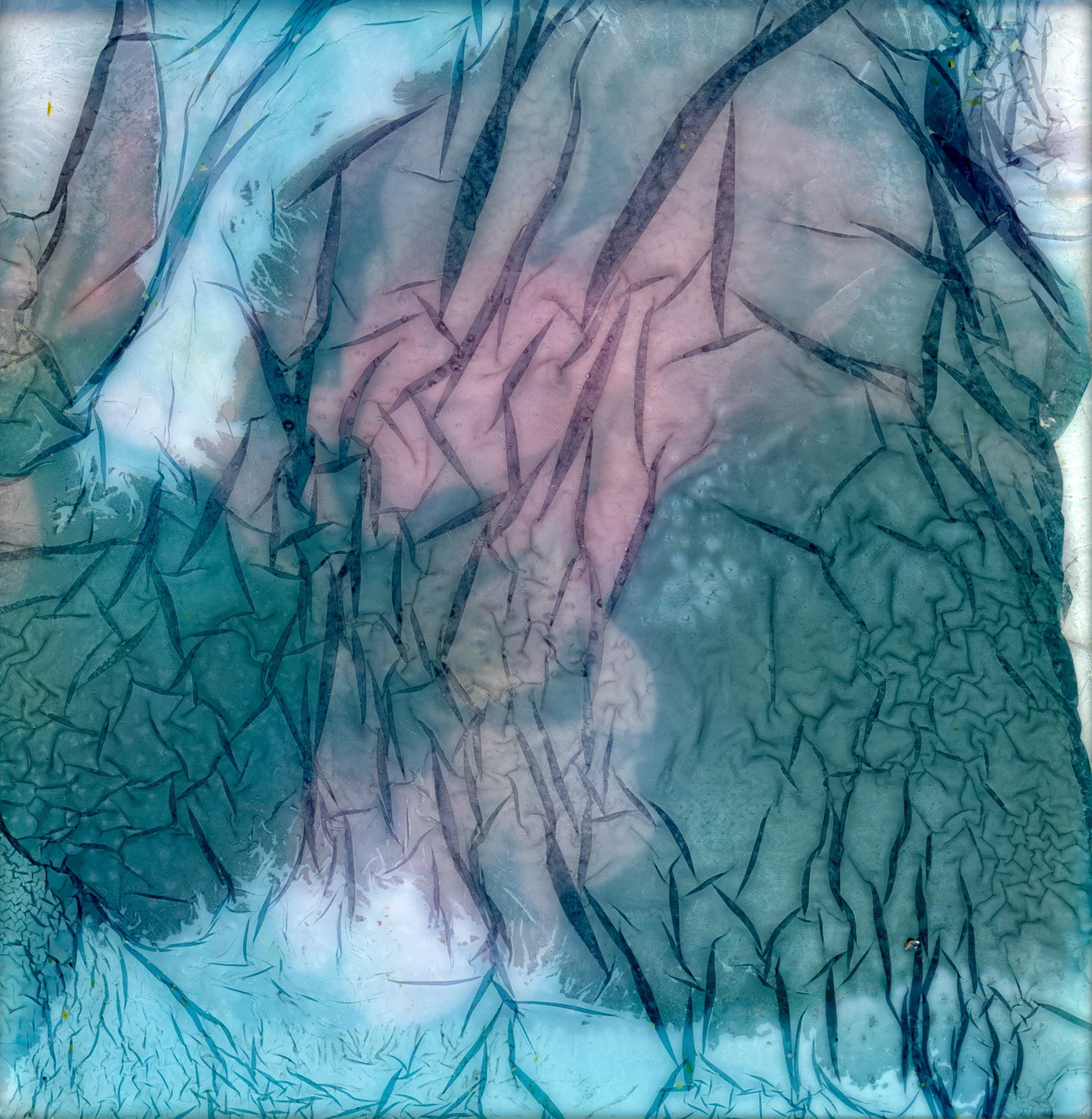 Waterlogged-43.jpg