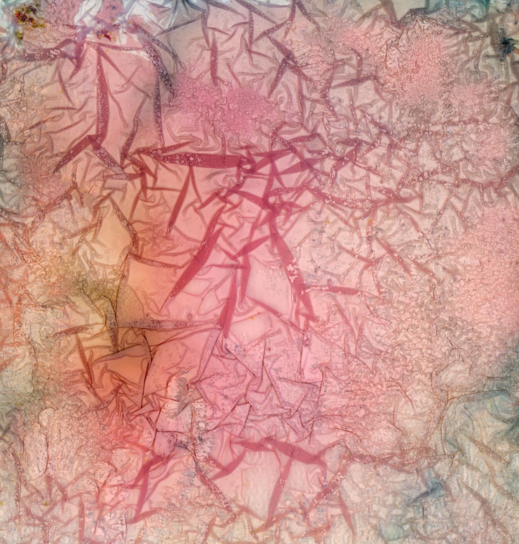 Waterlogged-45.jpg