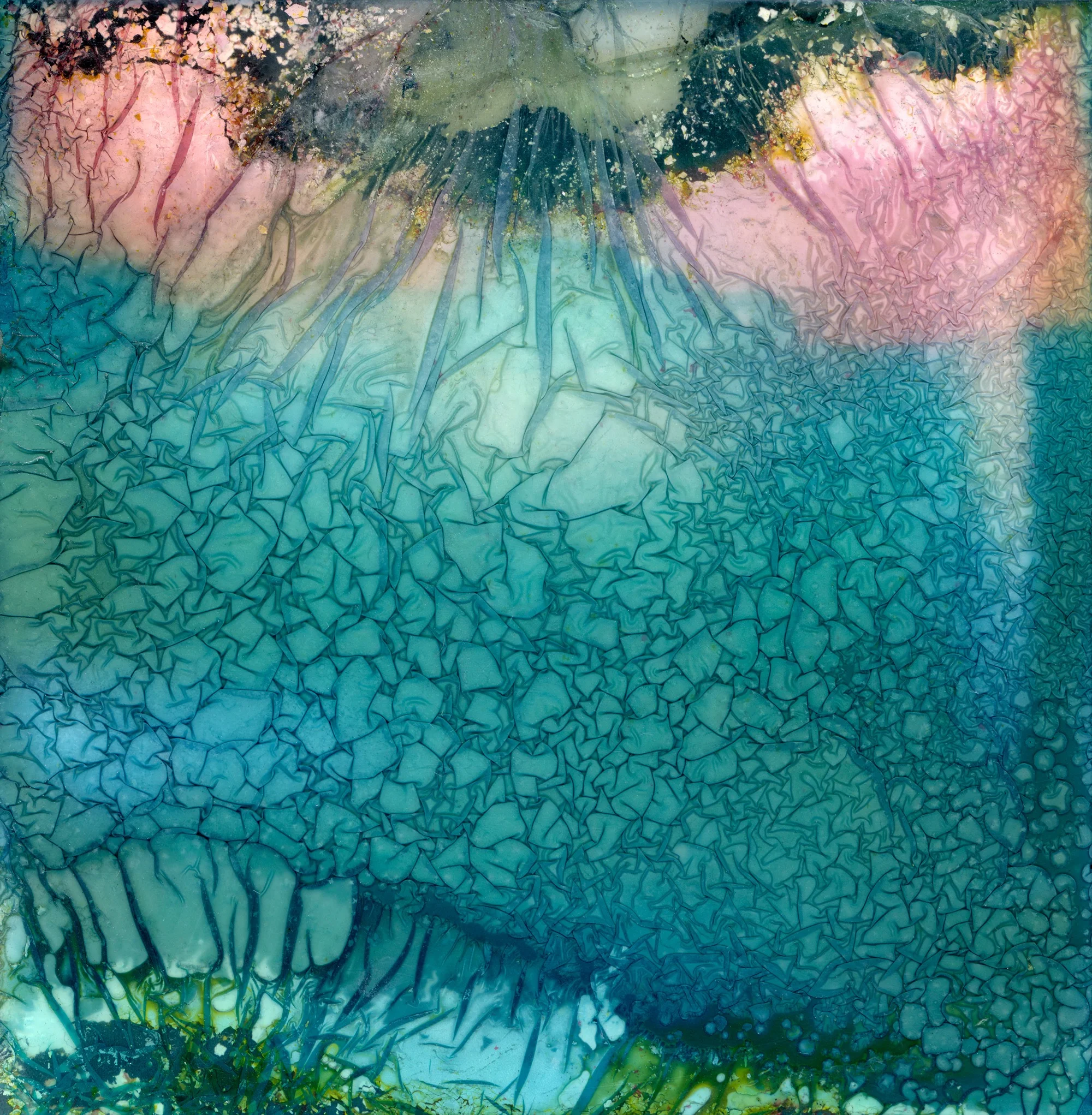 Waterlogged-46.jpg