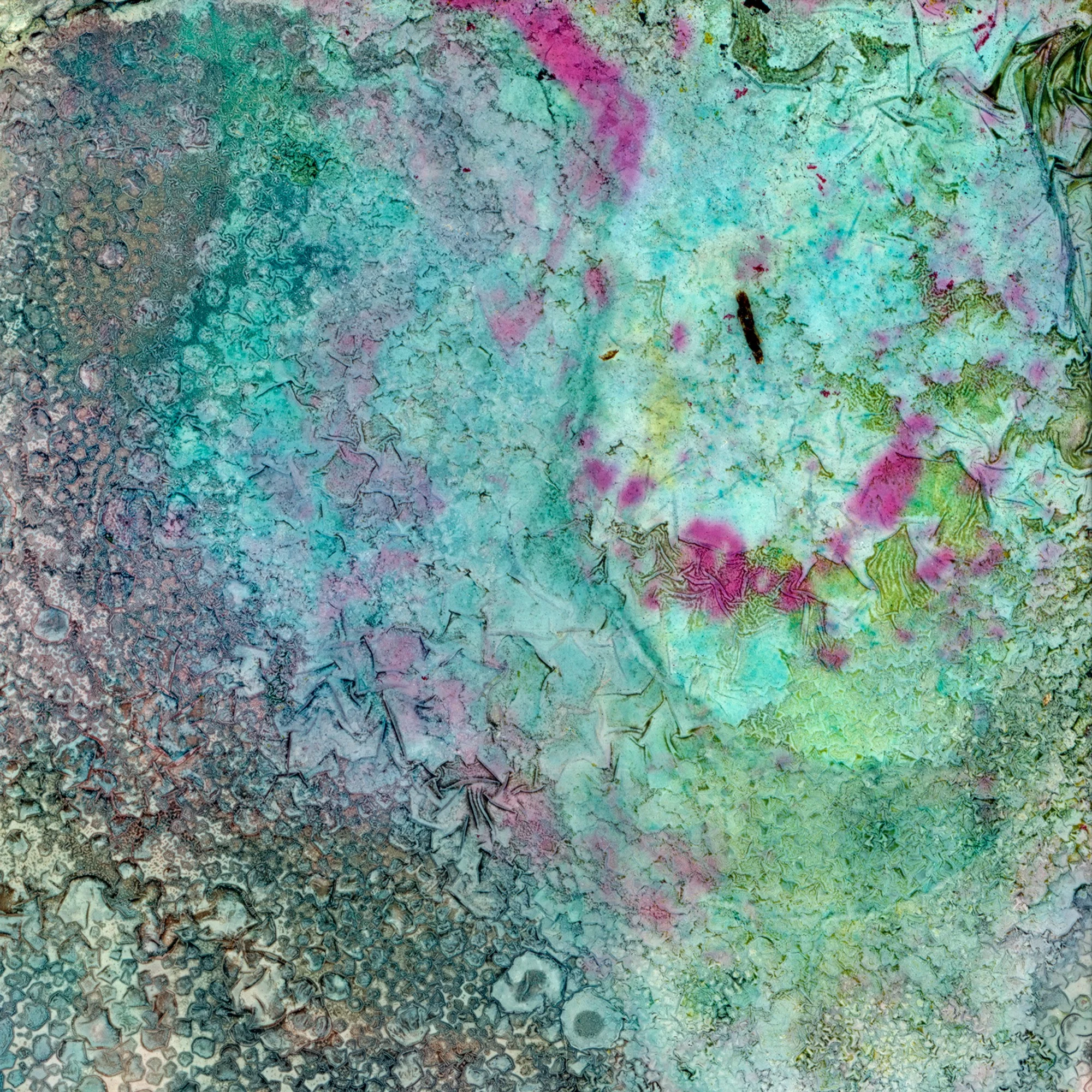Waterlogged-62b.jpg