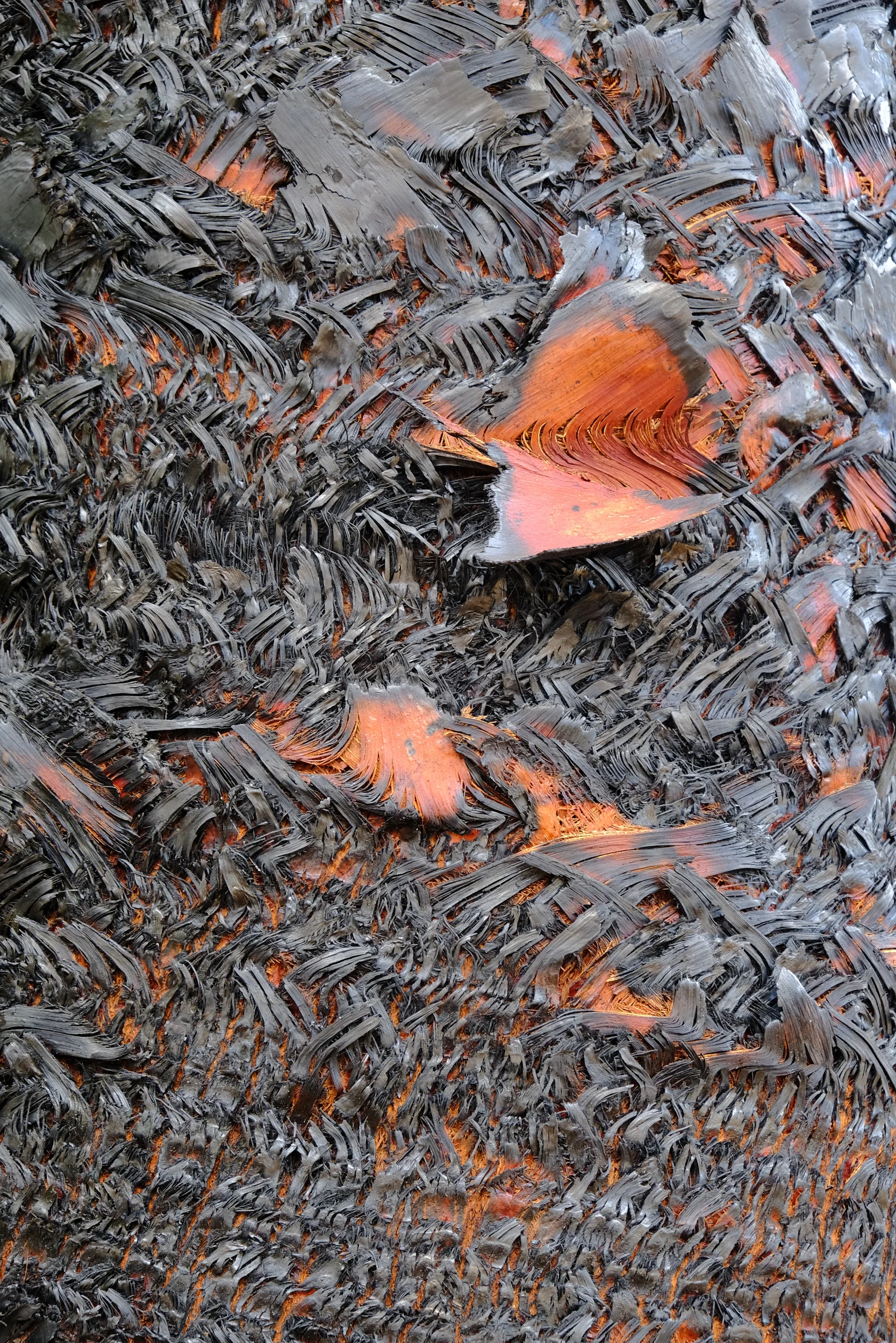 Funchal's Botanical Gardens