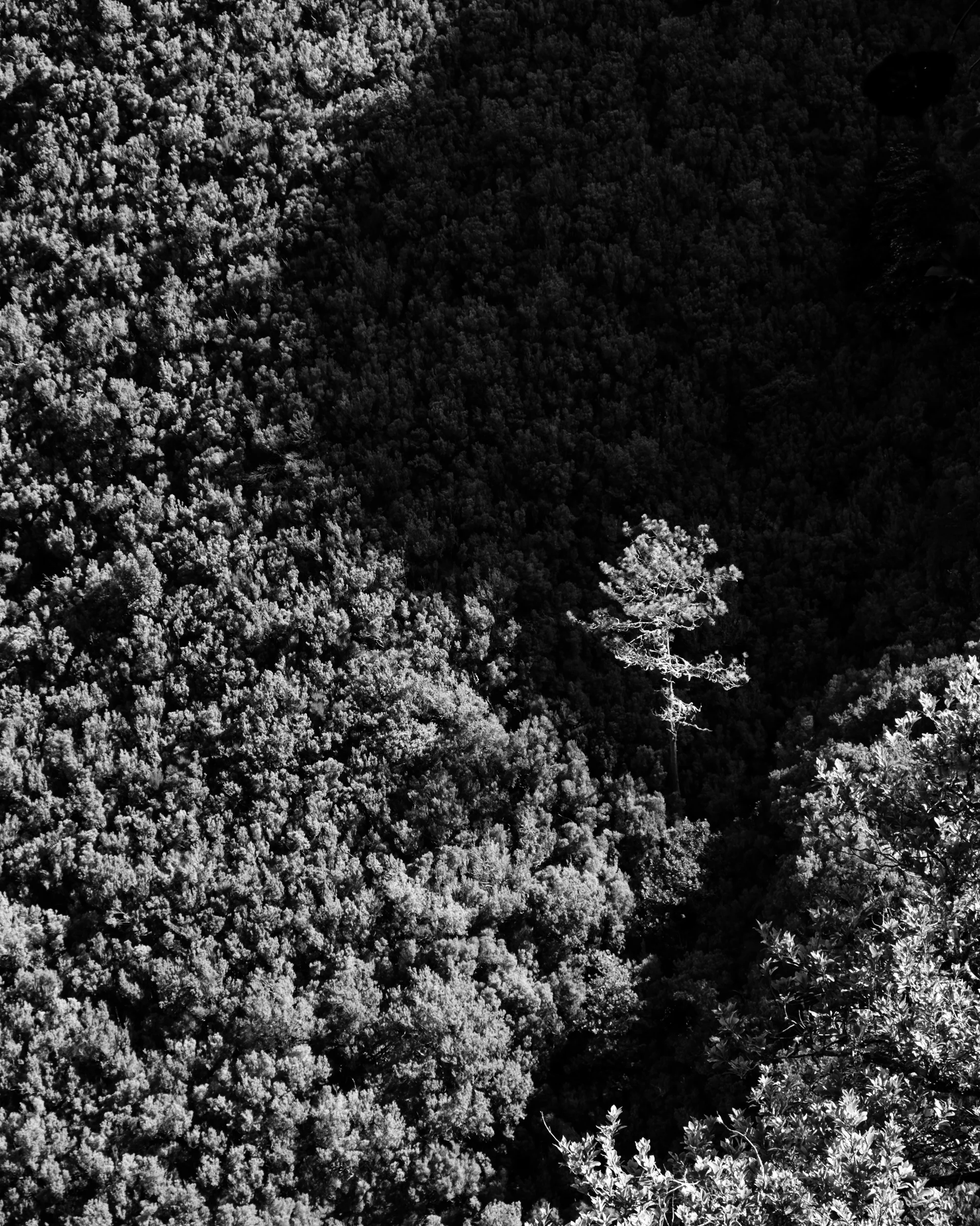 Isolation