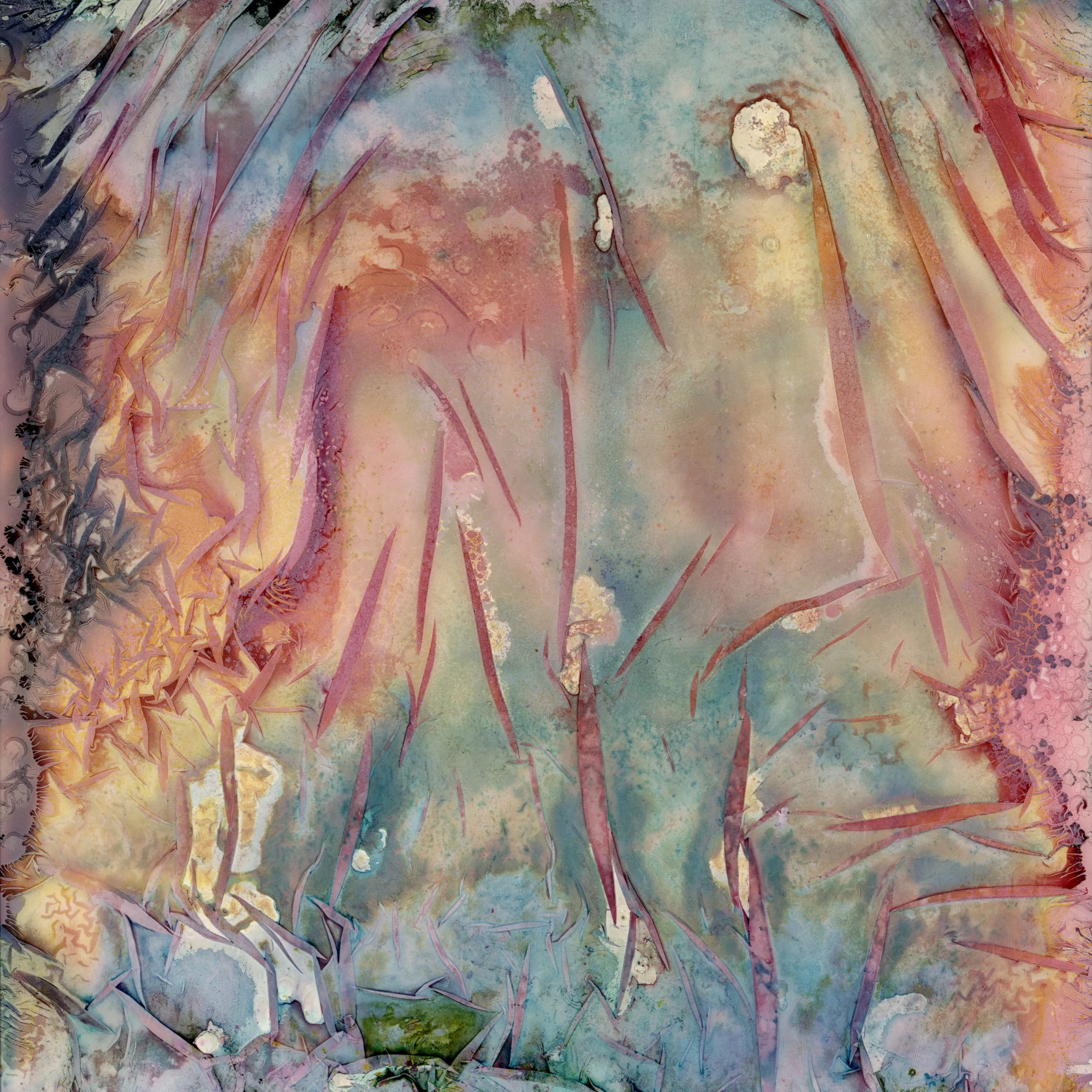 10_Warped Topographies 210.jpg