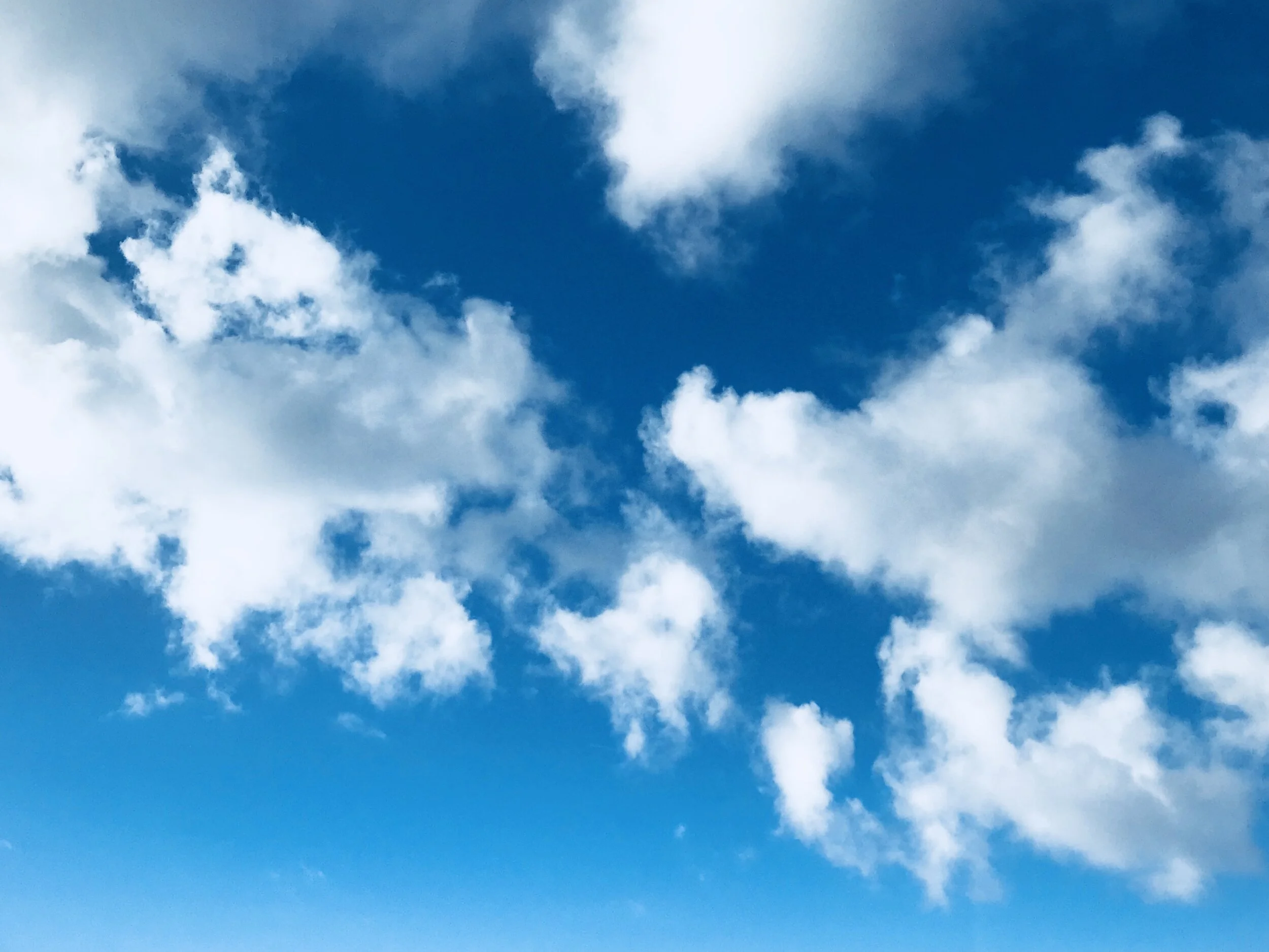 Letters from Lockdown: "We are writing and performing a weekly soap over Zoom" 